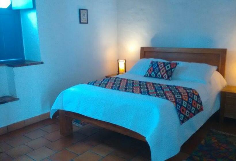 استودیوی استاندارد, Arapaima B&b