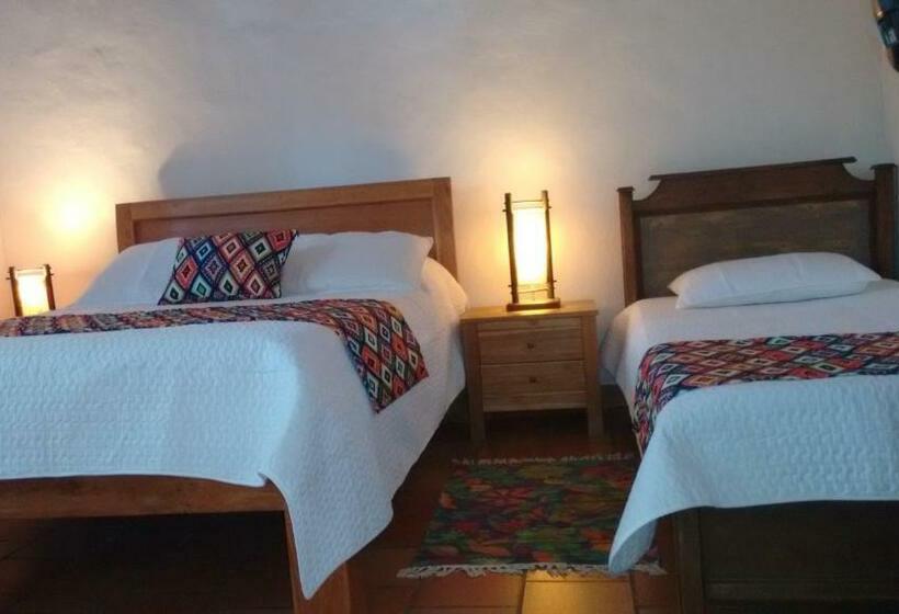 استودیوی استاندارد, Arapaima B&b