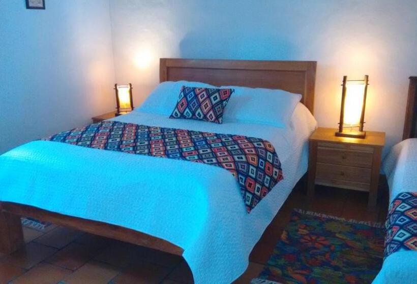 استودیوی استاندارد, Arapaima B&b