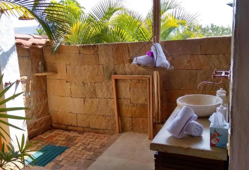 استودیوی لوکس, Arapaima B&b
