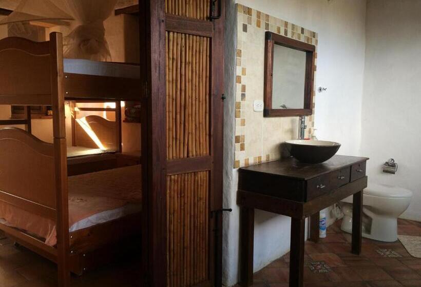 استودیوی لوکس, Arapaima B&b