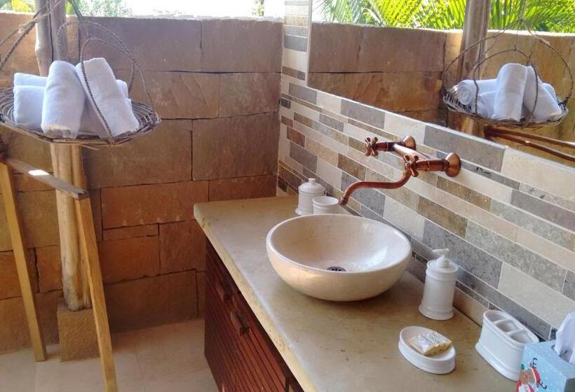 استودیوی لوکس, Arapaima B&b