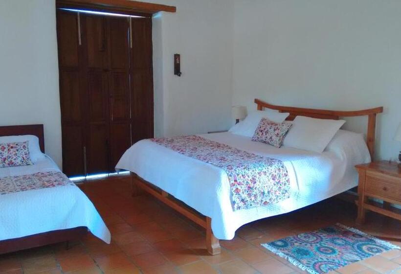 استودیوی لوکس, Arapaima B&b