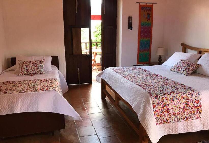 استودیوی لوکس, Arapaima B&b