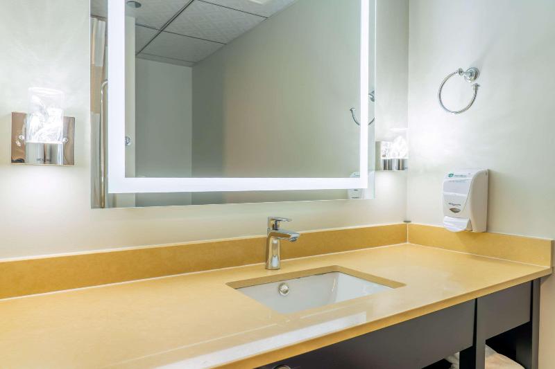 اتاق استاندارد با تخت بزرگ, Quality Inn Sunshine Suites
