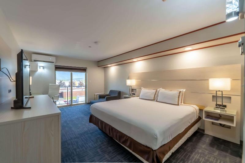 اتاق استاندارد با تخت بزرگ, Quality Inn Sunshine Suites