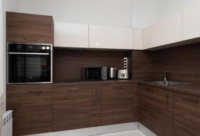 آپارتمان 3 خوابه, Grand Vitosha Apartments