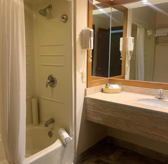 سوییت خانوادگی, Vidant At Nuevo Vallarta