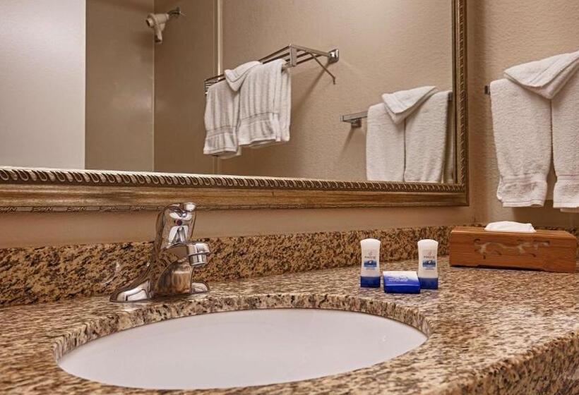 غرفة قياسية سرير كينج, Best Western Plus Chicago Hillside