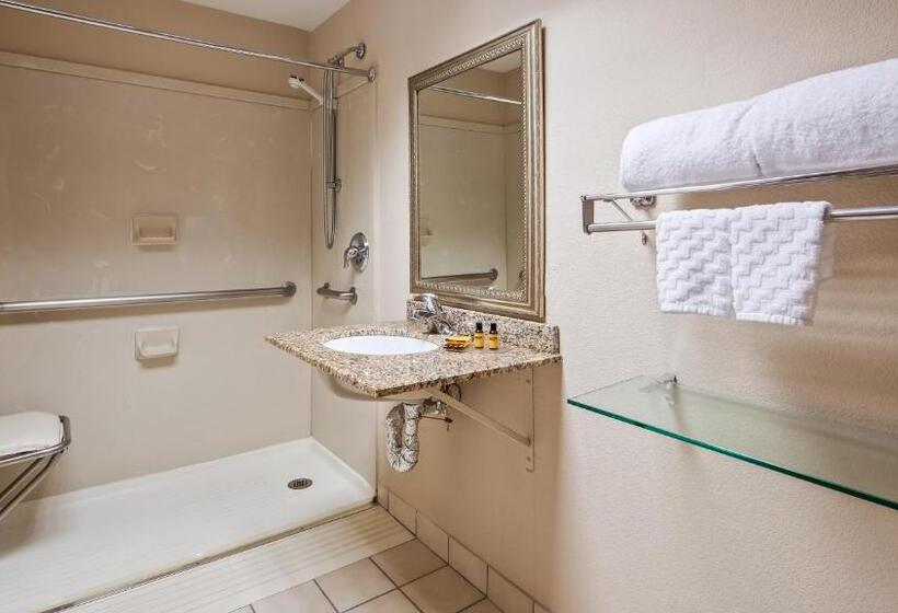 اتاق استاندارد با تخت بزرگ برای معلولان, Best Western Plus Chicago Hillside