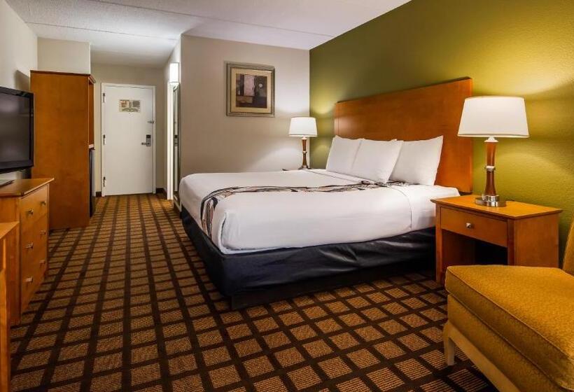 اتاق استاندارد با تخت بزرگ برای معلولان, Best Western Plus Chicago Hillside