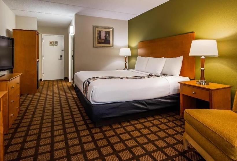 Standard Room King Bed Adapted for people with reduced mobility, Best Western Plus Chicago Hillside