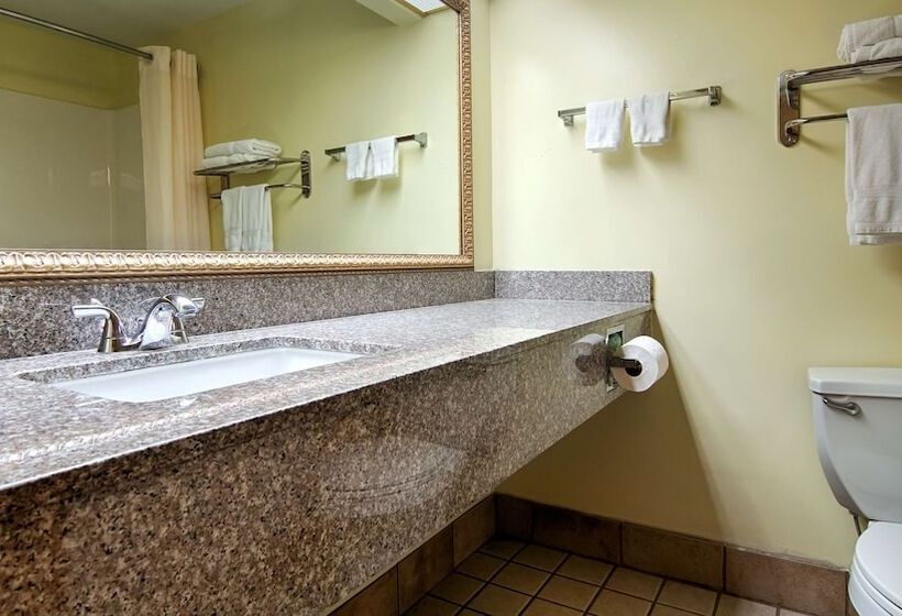 Suite Adapted for people with reduced mobility, Best Western Rayne Inn