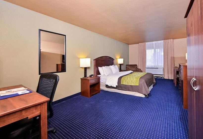 اتاق استاندارد با تخت دوبل, Comfort Inn