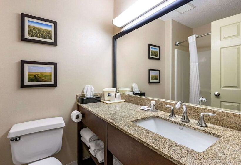 اتاق استاندارد با تخت بزرگ, Comfort Inn
