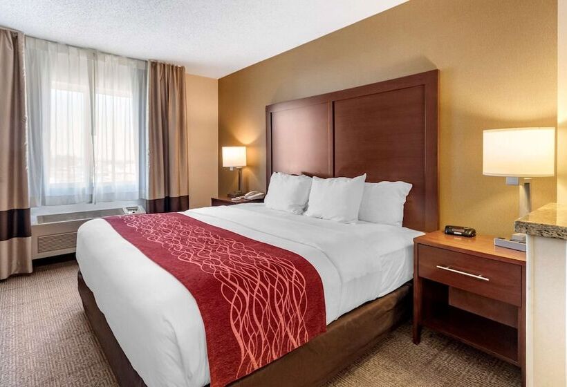 اتاق استاندارد با تخت بزرگ, Comfort Inn