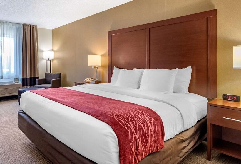 اتاق استاندارد با تخت بزرگ, Comfort Inn
