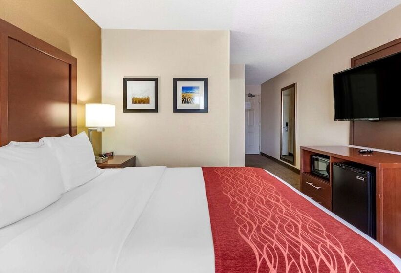 اتاق استاندارد با تخت بزرگ, Comfort Inn
