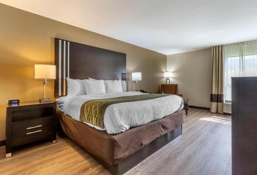 اتاق استاندارد با تخت بزرگ, Comfort Inn Near Downtown & Blue Ridge Pkwy