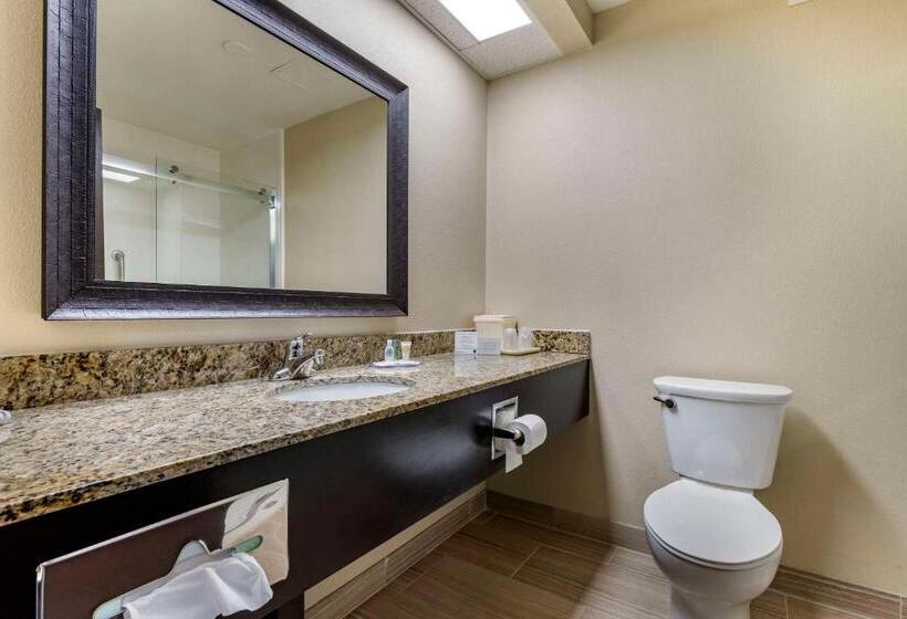 اتاق استاندارد با تخت بزرگ, Comfort Inn Near Downtown & Blue Ridge Pkwy