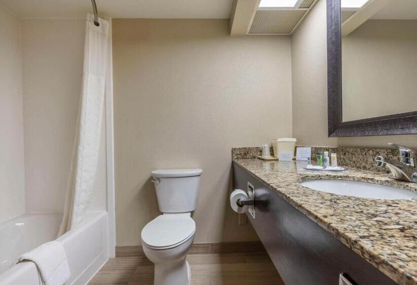 اتاق استاندارد, Comfort Inn Near Downtown & Blue Ridge Pkwy