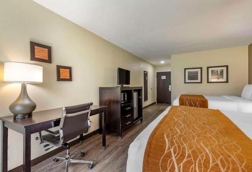اتاق استاندارد, Comfort Inn Near Downtown & Blue Ridge Pkwy