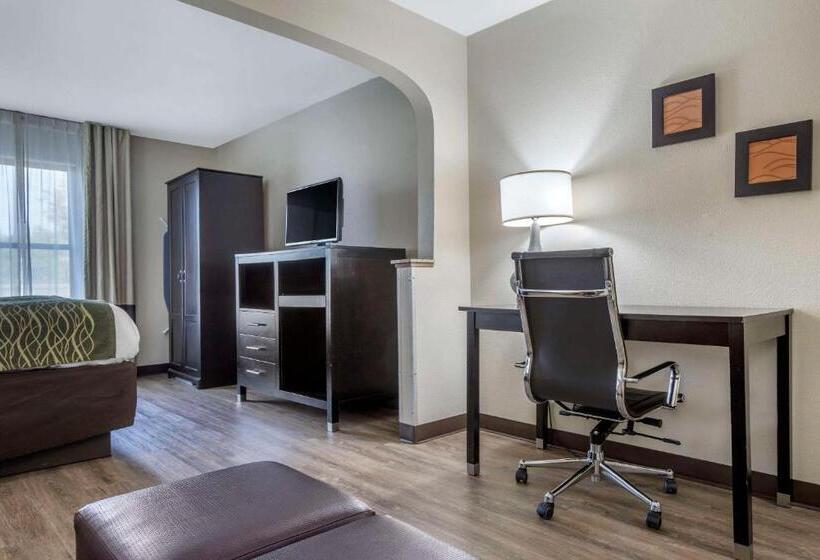 سوئیت با تخت بزرگ, Comfort Inn Near Downtown & Blue Ridge Pkwy