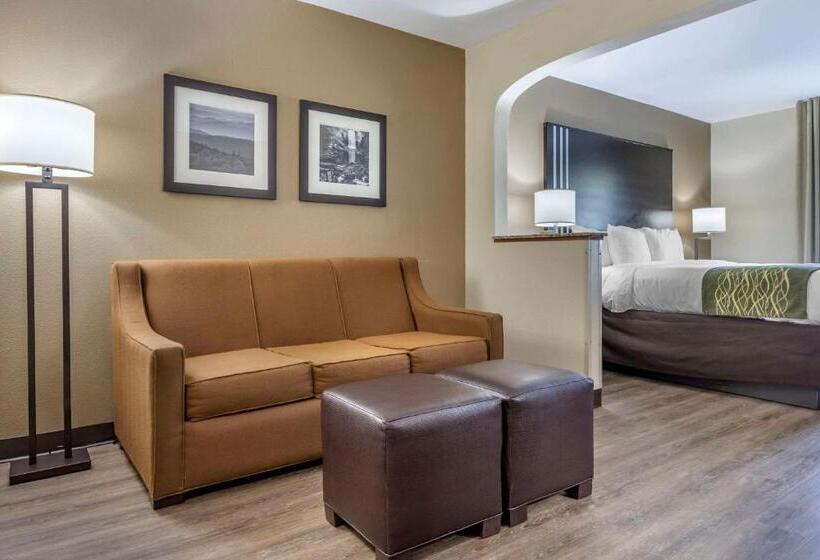 سوئیت با تخت بزرگ, Comfort Inn Near Downtown & Blue Ridge Pkwy