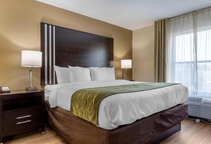 سوئیت با تخت بزرگ, Comfort Inn Near Downtown & Blue Ridge Pkwy