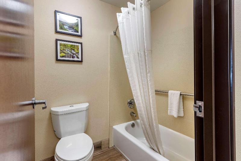 اتاق استاندارد با تخت بزرگ, Comfort Inn Portland Near I84 And I205