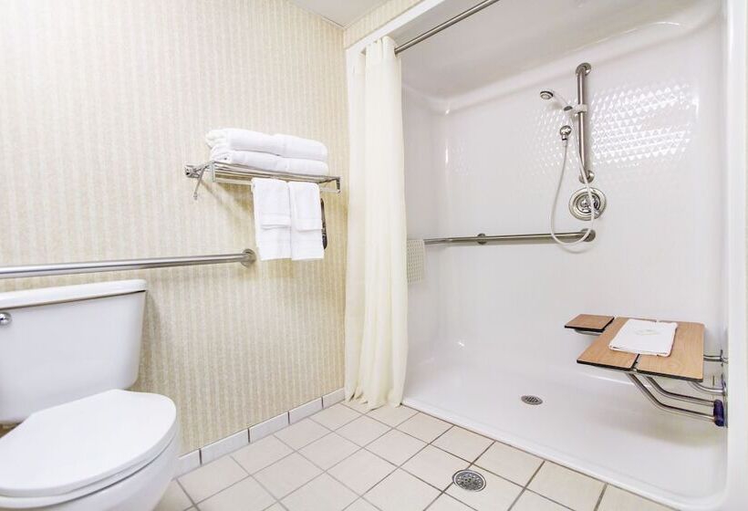 Suite, Comfort Inn & Suites Branson Meadows