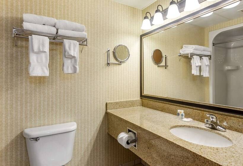 Suite, Comfort Inn & Suites Branson Meadows