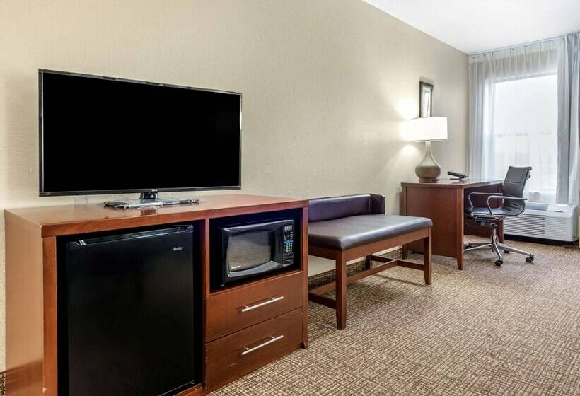 اتاق عادی یک تخته, Comfort Inn & Suites Cincinnati Eastgate