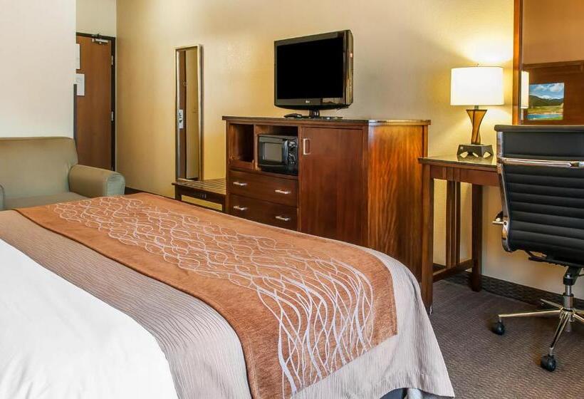 Quarto Standard Cama King para Deficientes, Comfort Inn & Suites Midtown