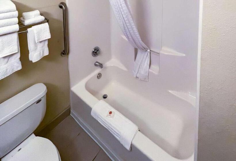 חדר סטנדרט, Comfort Inn & Suites Midtown