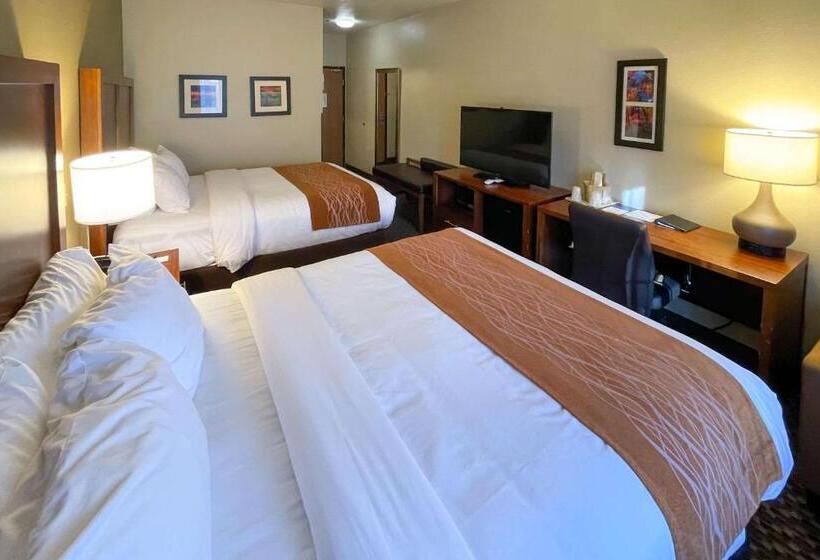 Quarto standard, Comfort Inn & Suites Midtown