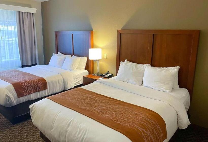 Quarto standard, Comfort Inn & Suites Midtown