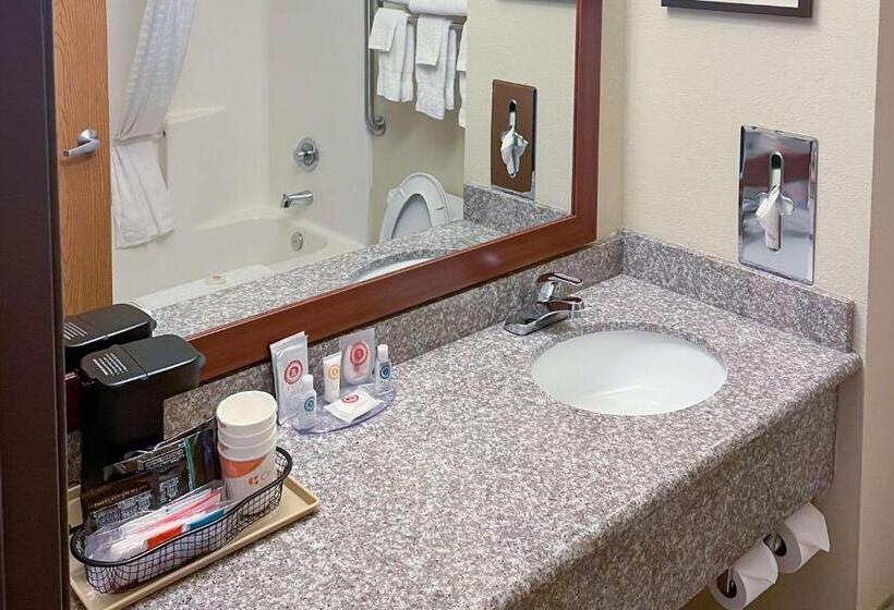 חדר סטנדרט עם מיטת קינג, Comfort Inn & Suites Midtown