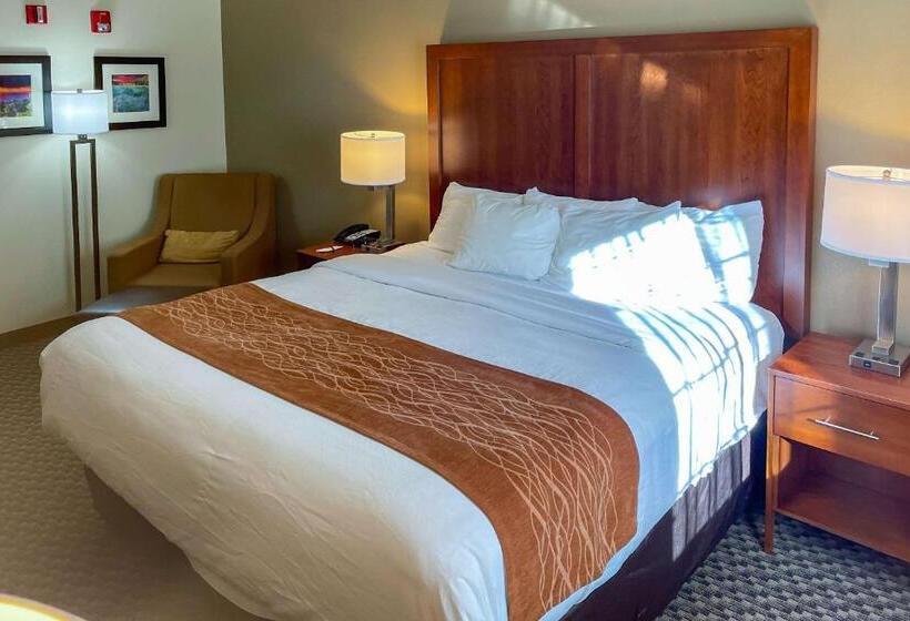 Quarto Standard Cama King, Comfort Inn & Suites Midtown