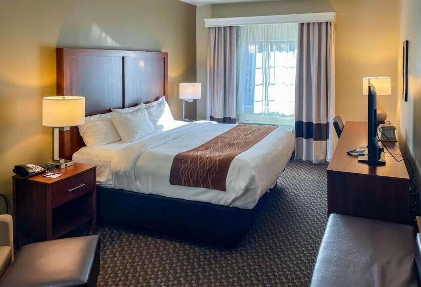 Quarto Standard Cama King, Comfort Inn & Suites Midtown