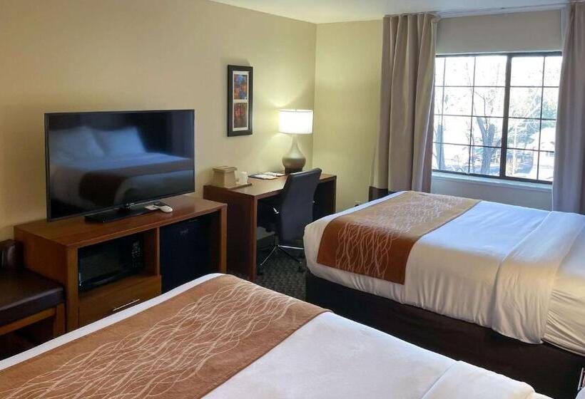 Suite, Comfort Inn & Suites Midtown