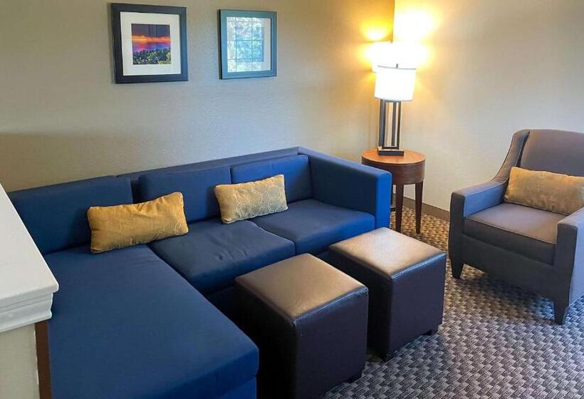 Suite, Comfort Inn & Suites Midtown