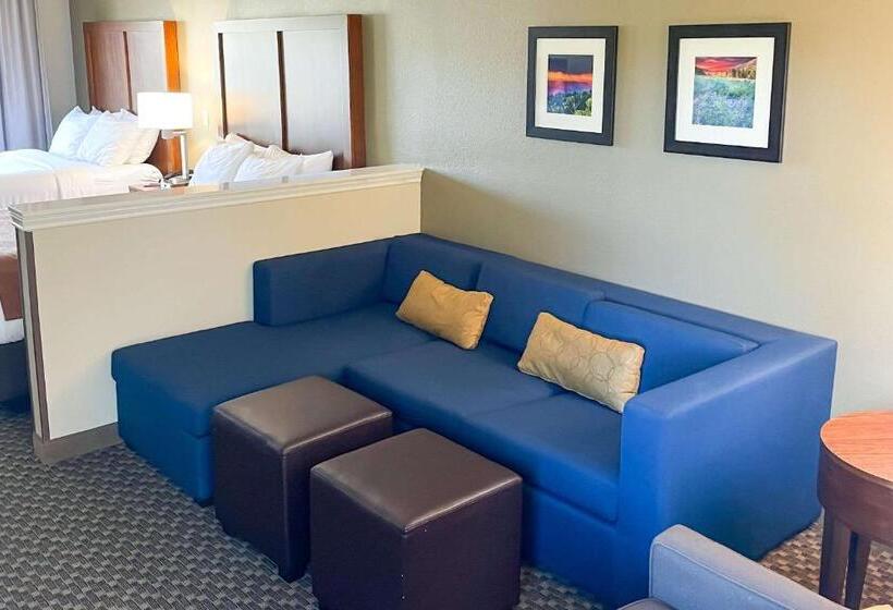 Suite, Comfort Inn & Suites Midtown