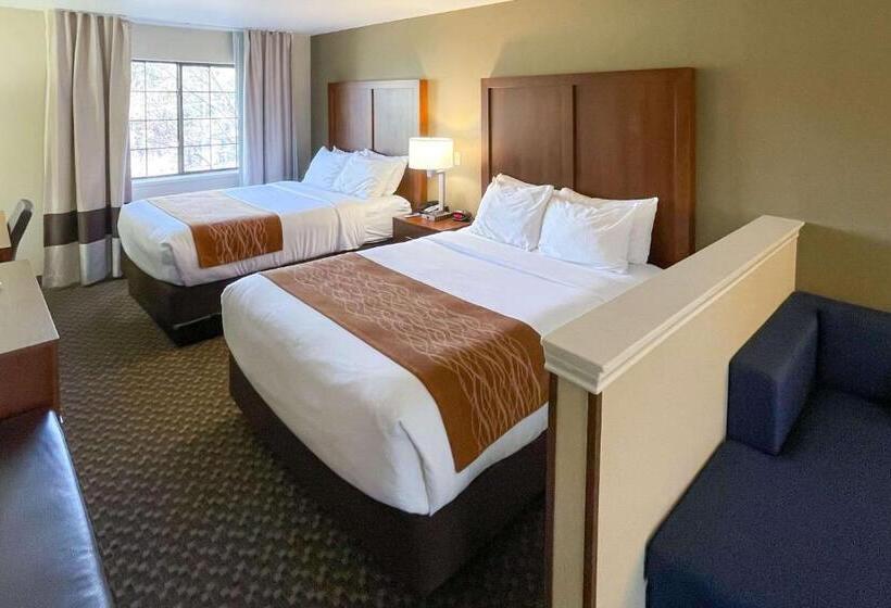 Suite, Comfort Inn & Suites Midtown