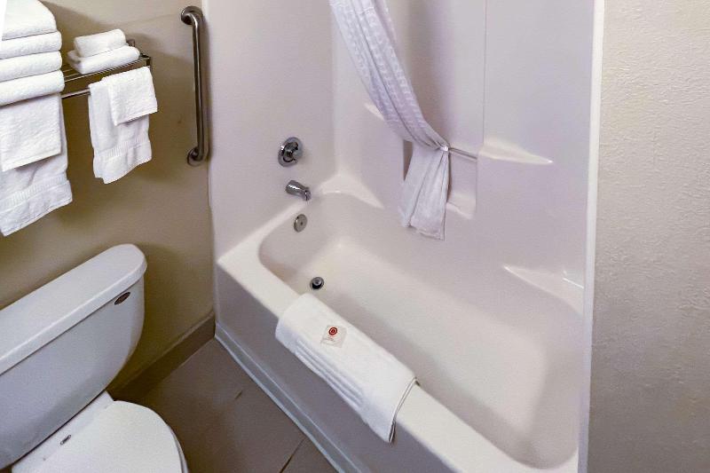 اتاق استاندارد با تخت دو نفره بزرگ, Comfort Inn & Suites Midtown