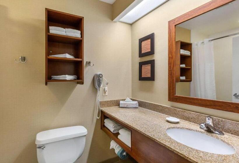 Suite Letto King, Comfort Inn & Suites North Conway