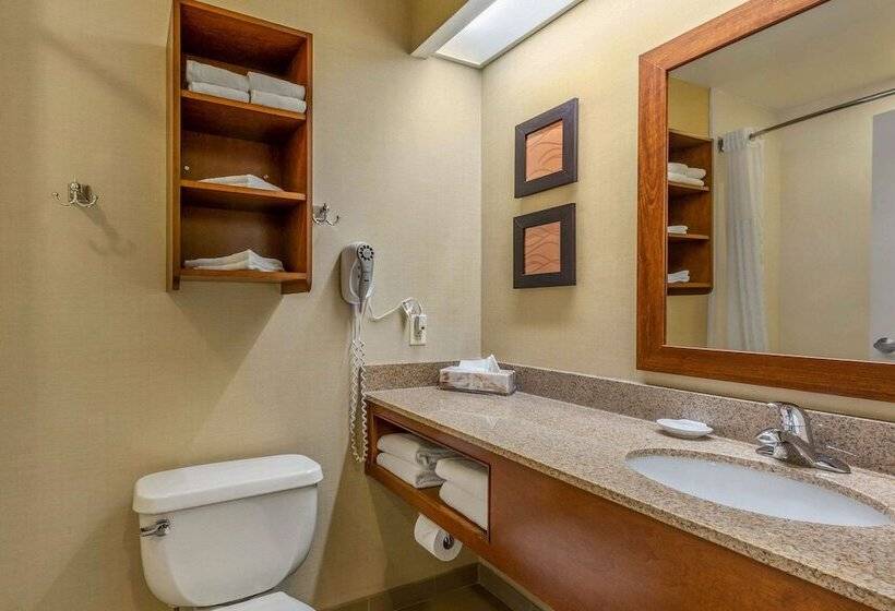 Camera Standard 2 Letti Matrimoniali, Comfort Inn & Suites North Conway