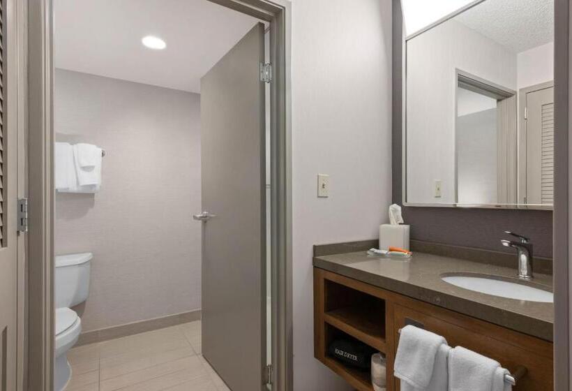 اتاق استاندارد با تخت بزرگ, Courtyard Boise Downtown