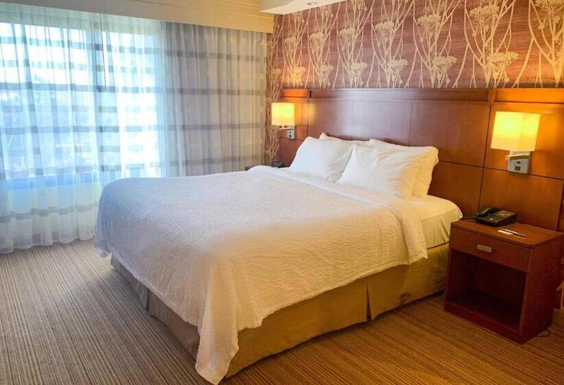 سوئیت با تخت بزرگ, Courtyard By Marriott Buffalo Amherst/university