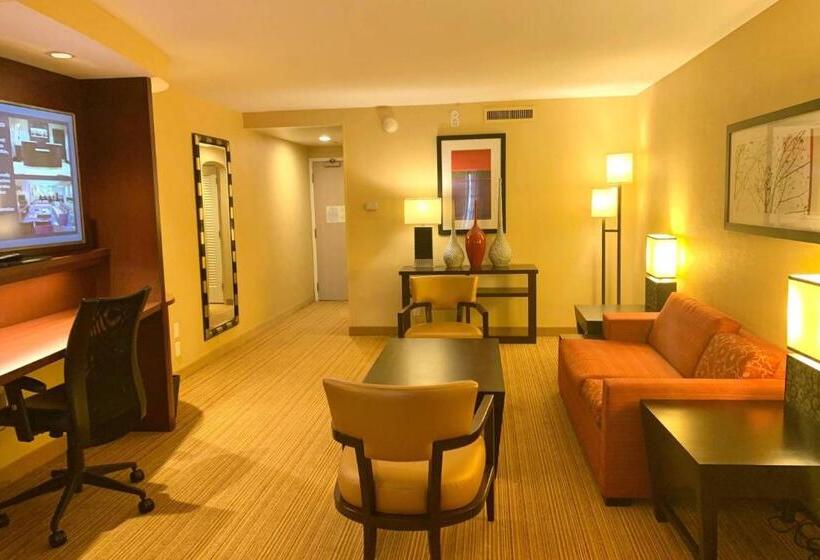 سوئیت با تخت بزرگ, Courtyard By Marriott Buffalo Amherst/university